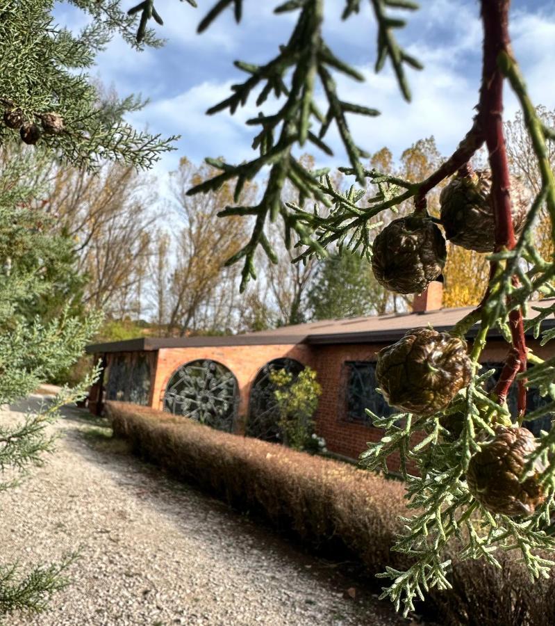 Finca Paraiso Rural El Burgo De Osma Esterno foto