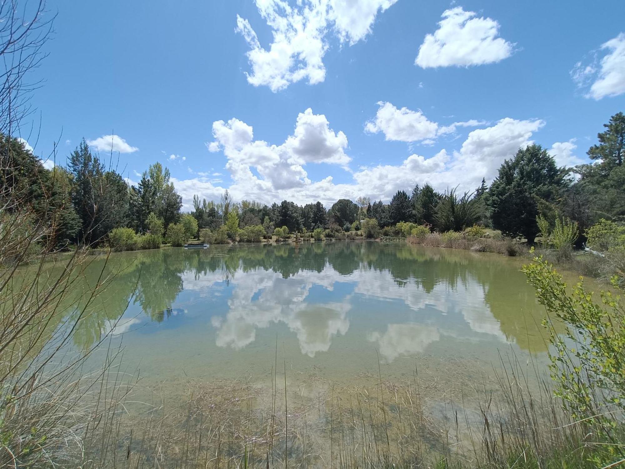 Finca Paraiso Rural El Burgo De Osma Esterno foto
