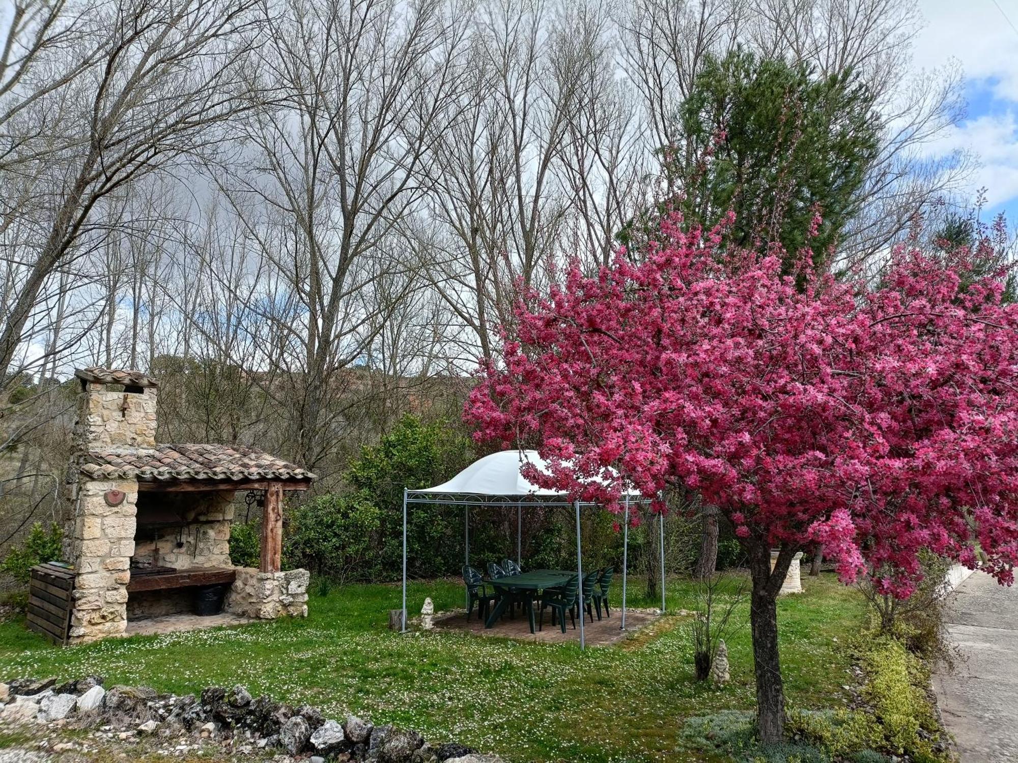 Finca Paraiso Rural El Burgo De Osma Esterno foto